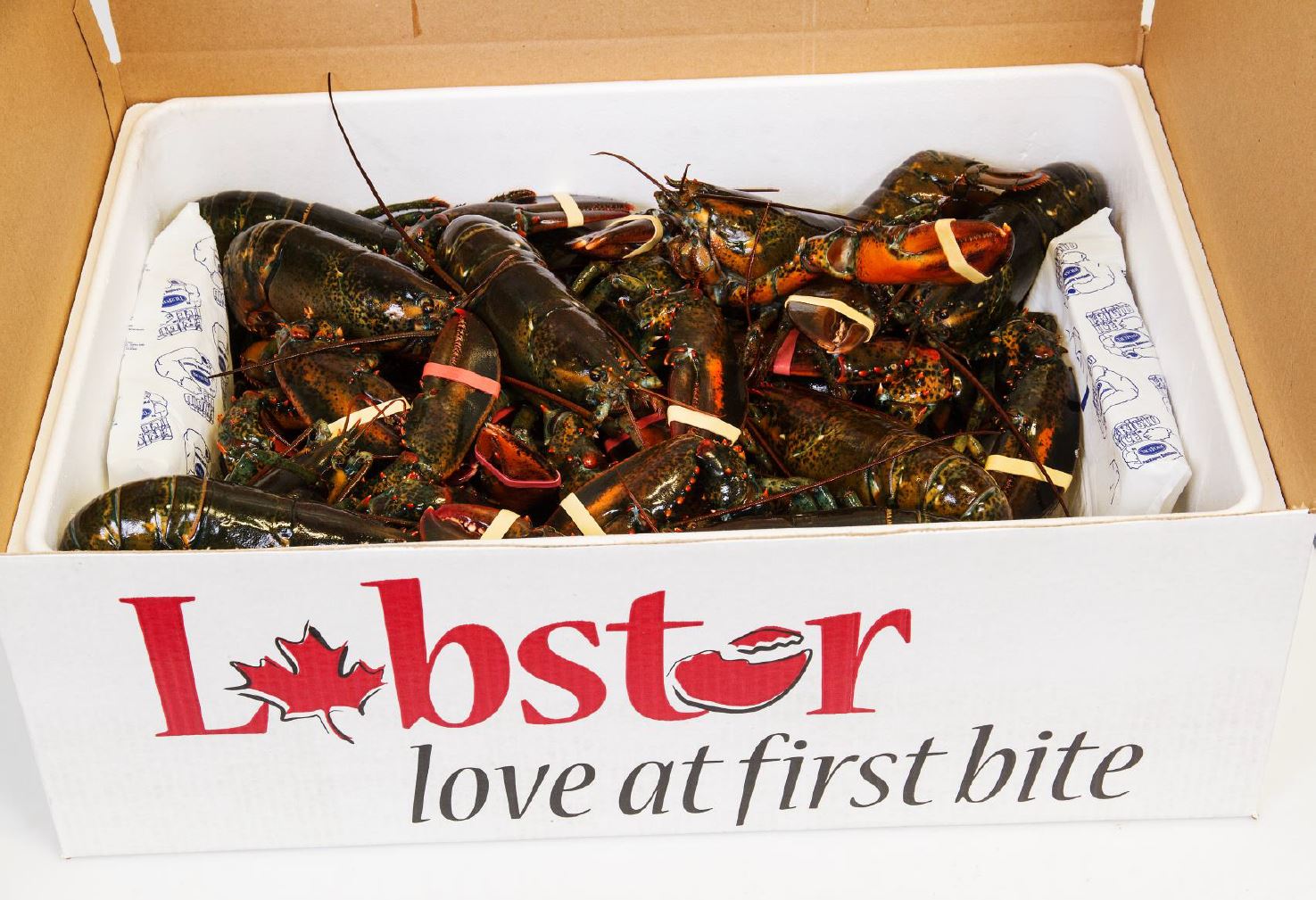 Tangier Lobster - Lobster packed in styro box